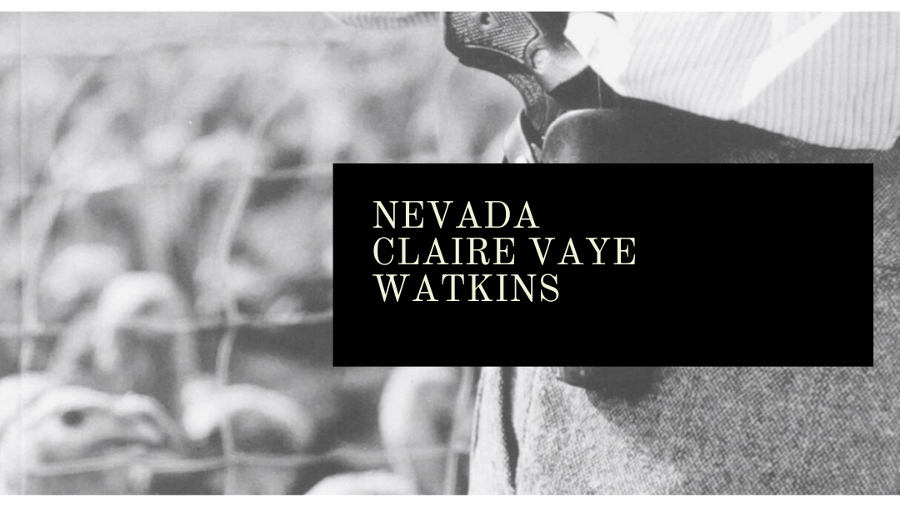 Nevada, de Claire Vaye Watkins (2012)